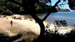 Deadly mystery unfolds as canoeists are found unresponsive after midnight trip Education Guide