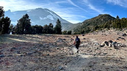 Mount Shasta climber recounts harrowing 500-foot slide, overnight crawl to safety: report Education Guide
