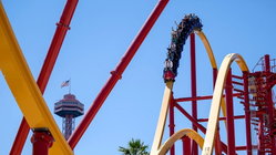 Popular amusement park bans guest for life after roller coaster stunt viral video Education Guide