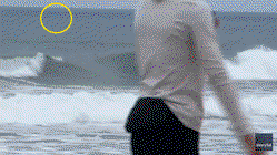 Shark Week shocker as great white breaches just yards from oblivious boogie boarder Education Guide